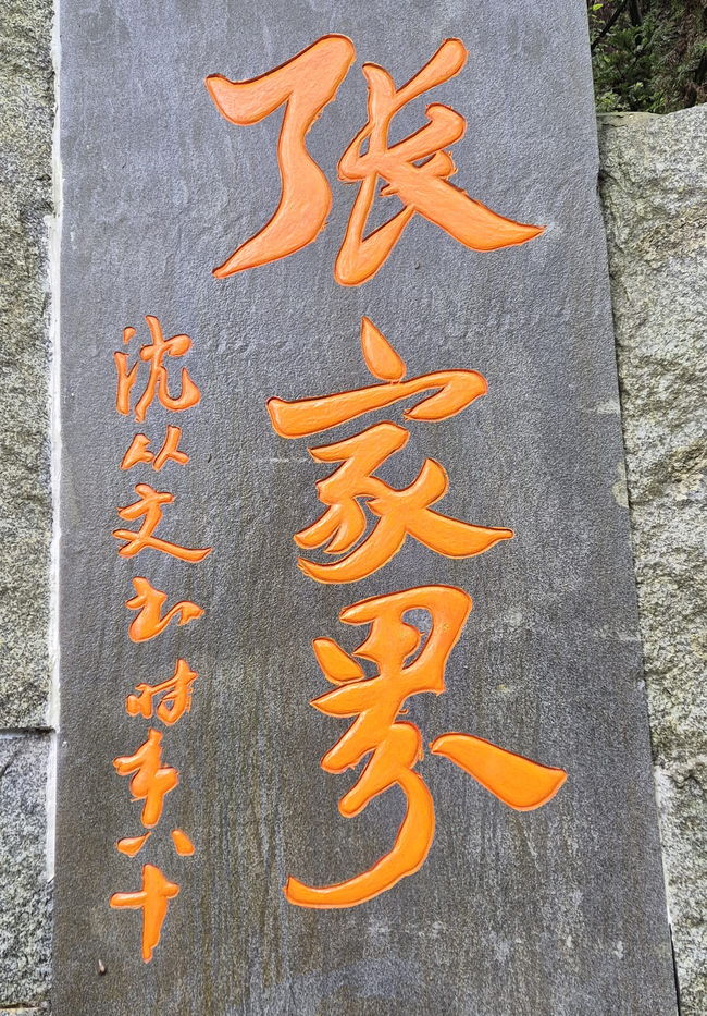 갤러리 사진 40