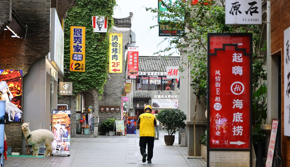 동서향 거리