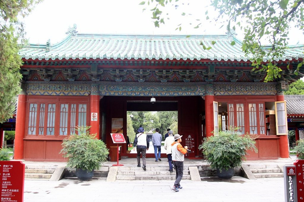 갤러리 사진 9
