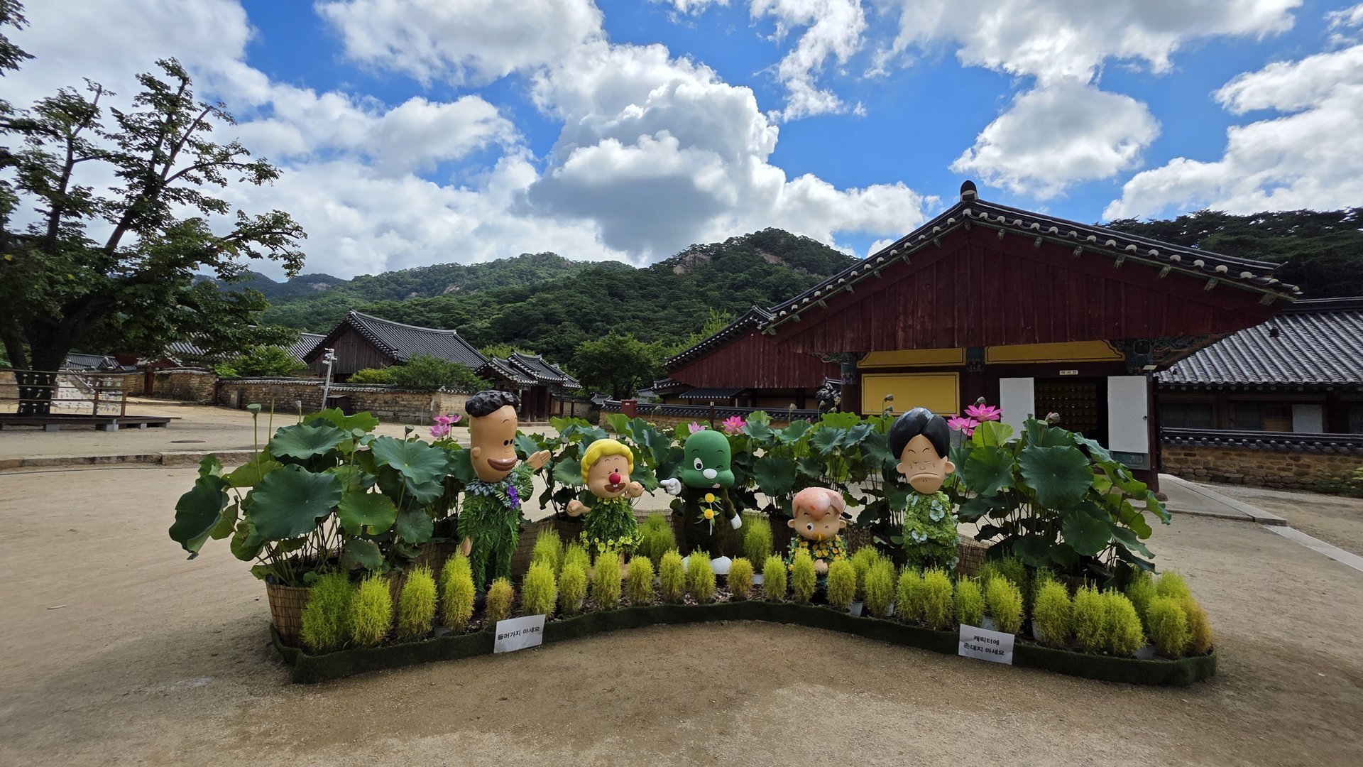보은 속리산 당일치기 여행기 - 법주사·오리숲길·모노레일·말티재 전망대 힐링 코스 🌿✨