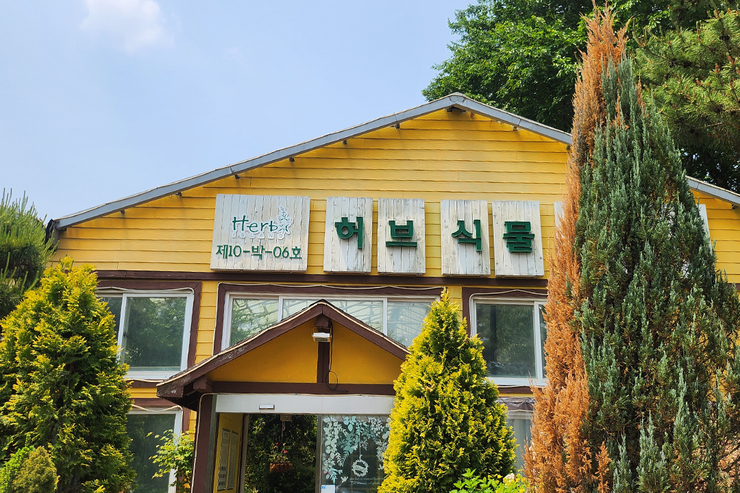 향긋한 허브와 푸른 숲, 포천이 건넨 하루의 선물 🎁
