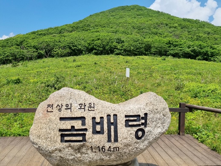 곰배령 트레킹 후기