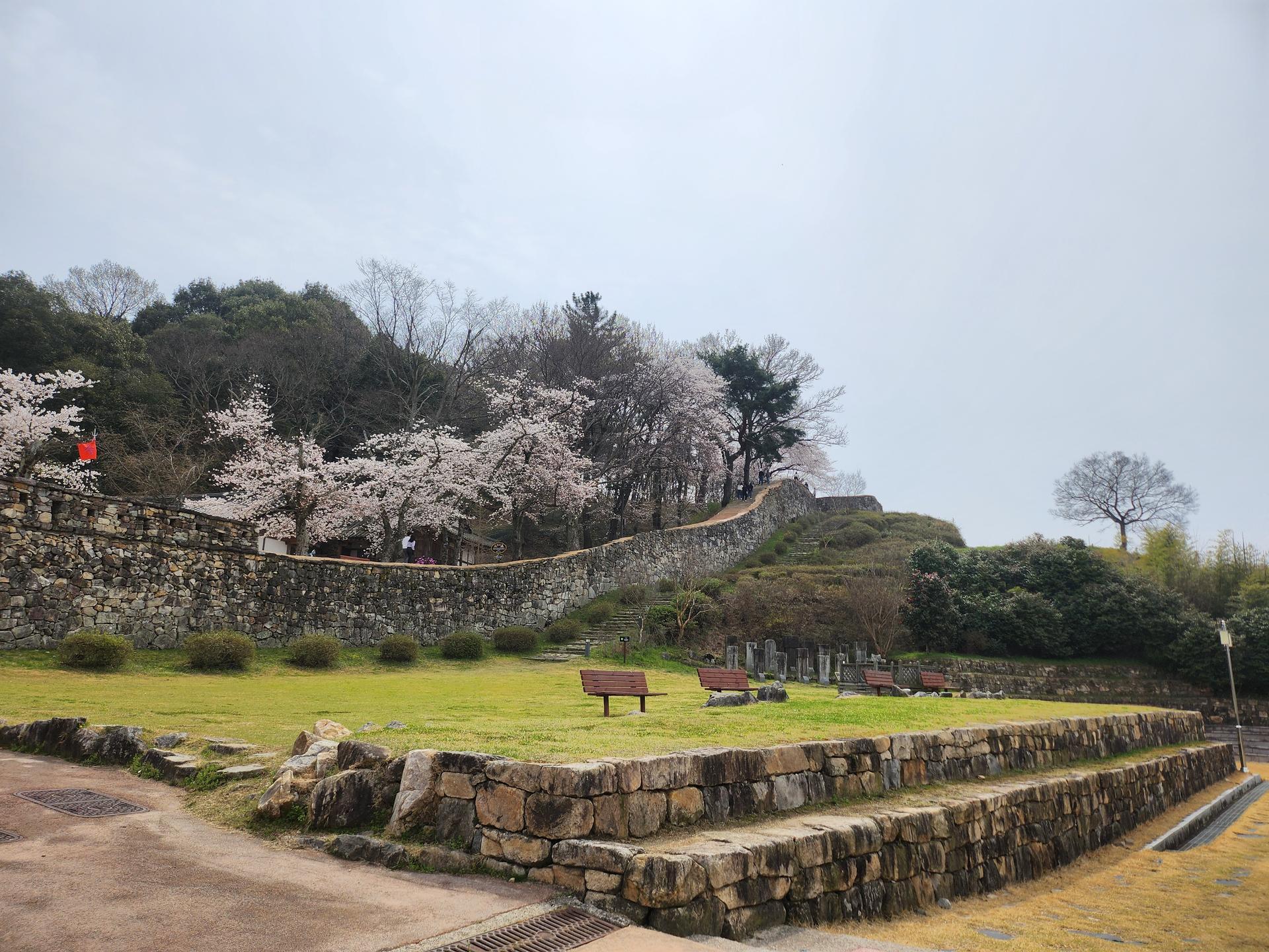 🌷 봄바람 따라 떠난 하루 | 고창 힐링 감성 여행 🌼