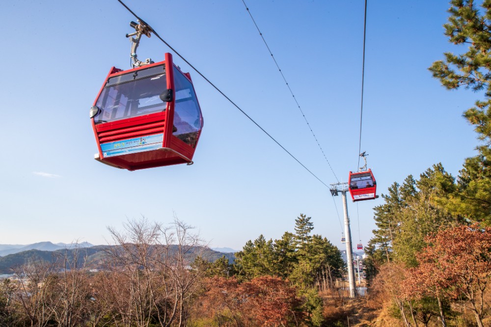 울진 동해 당일치기 투어 후기
