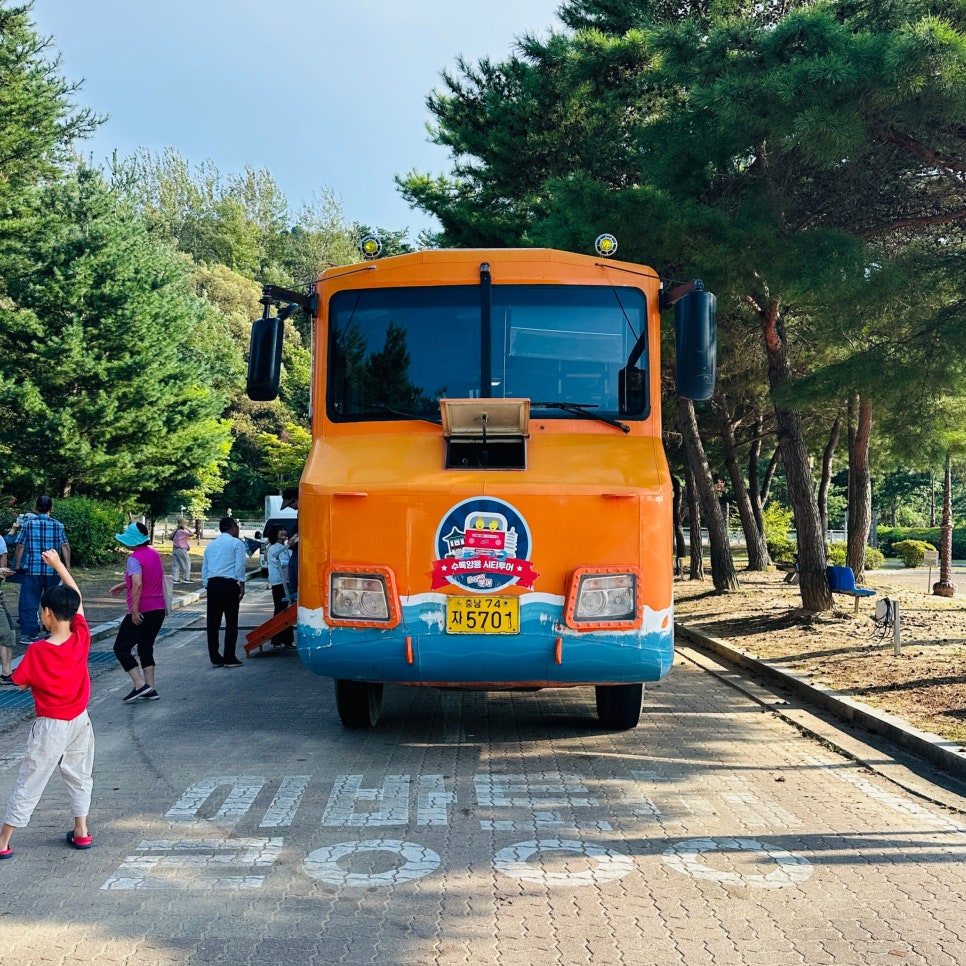부여 서동연꽃축제 & 궁남지 & 부소산성 당일여행 후기