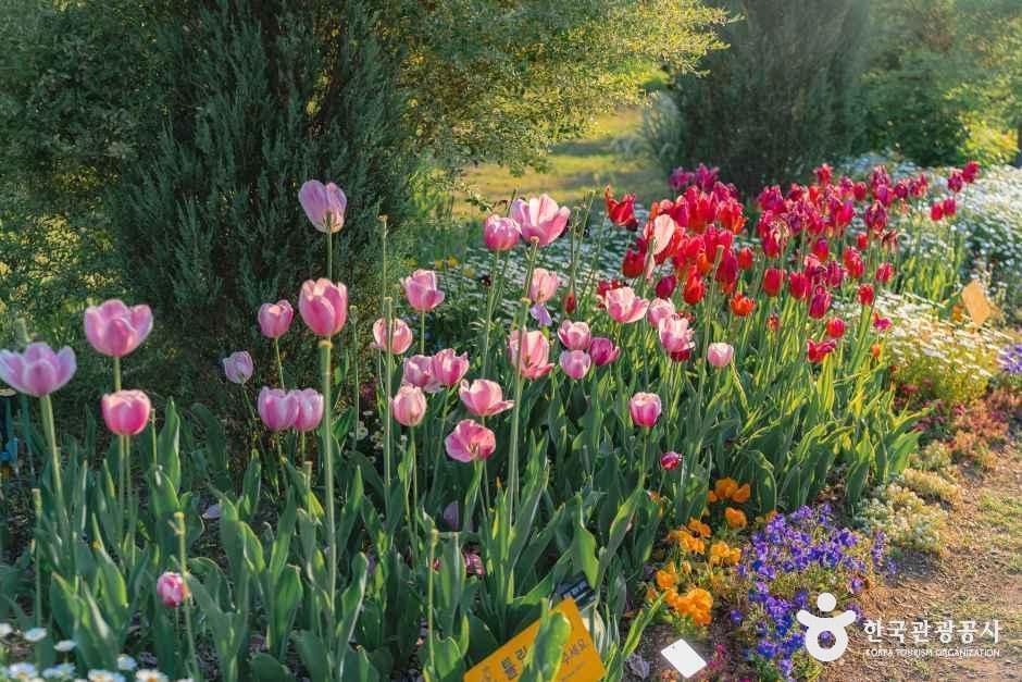 장소 이미지