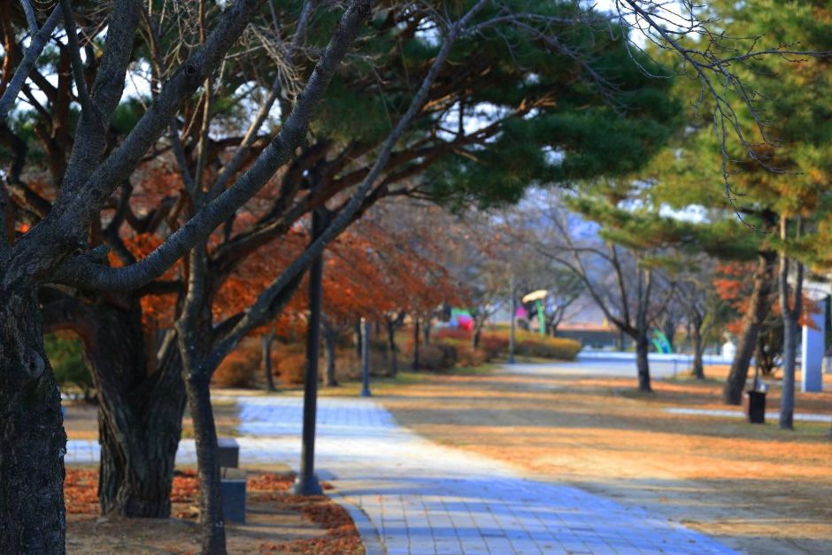 장소 이미지