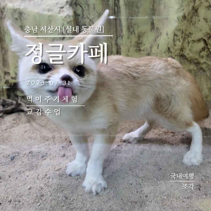 서산 정글카페