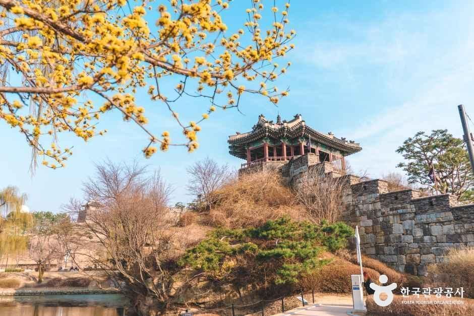 장소 이미지