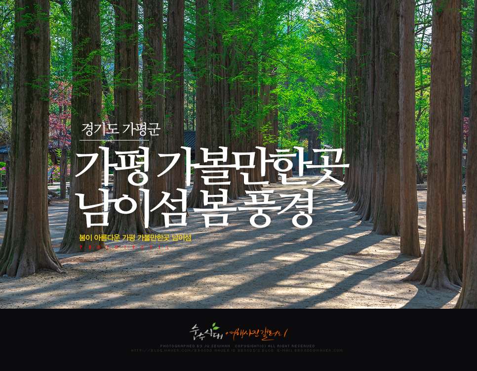 장소 이미지