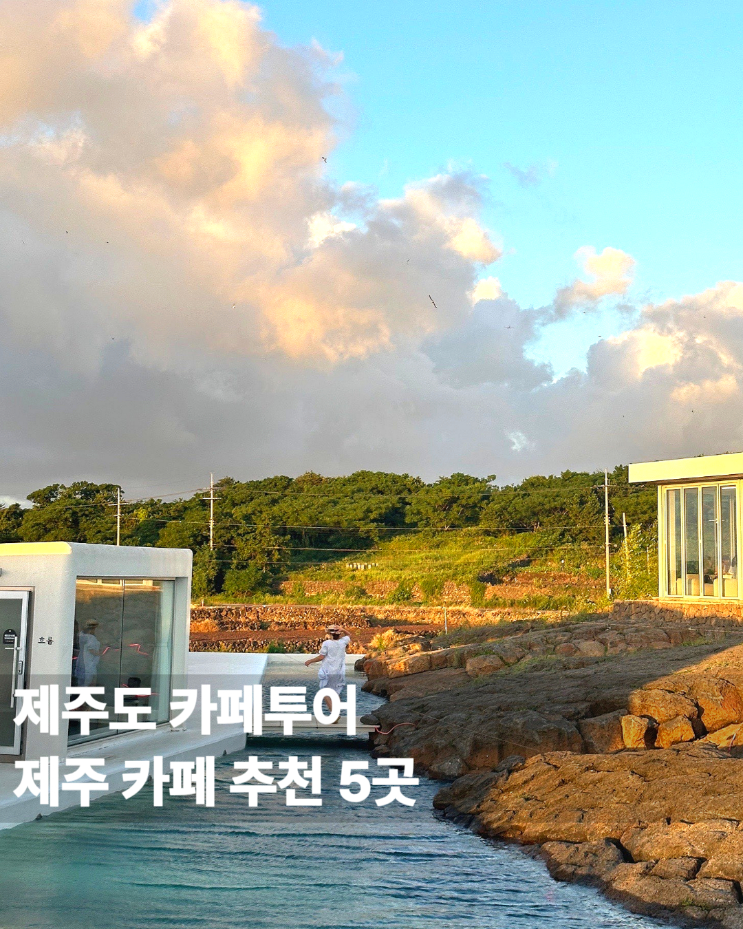 제주도 카페
