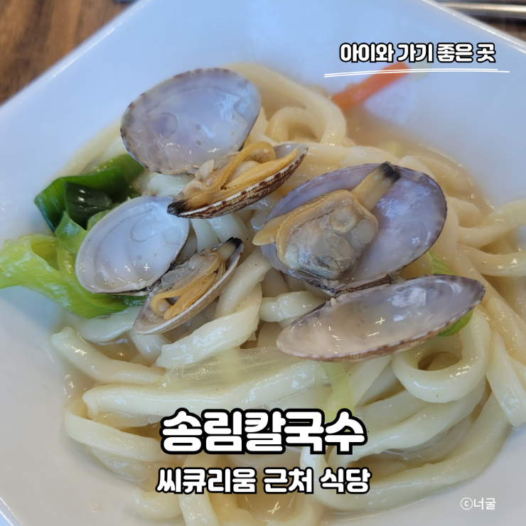 서천 씨큐리움