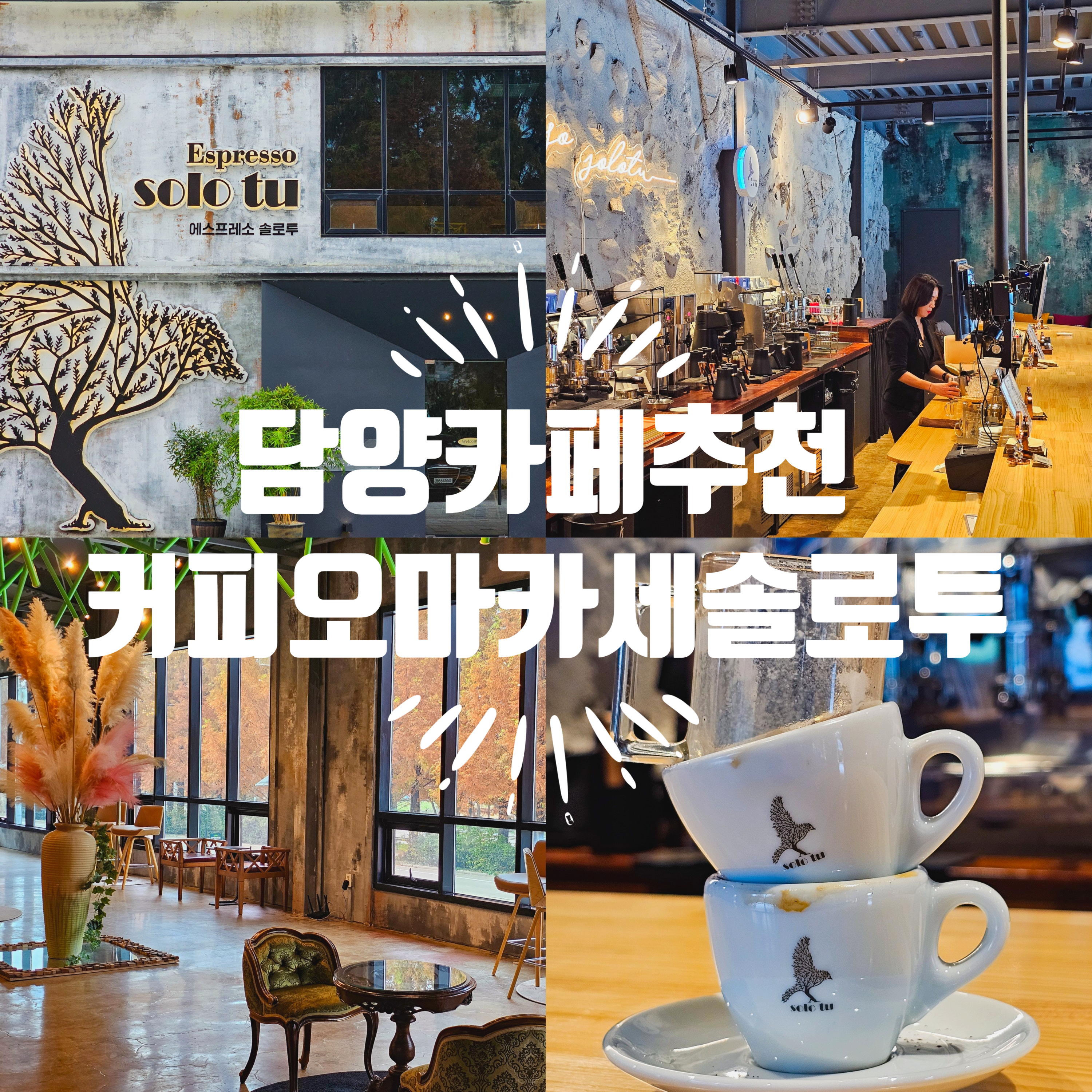 담양 메타세콰이어길