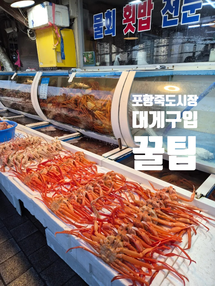 장소 이미지