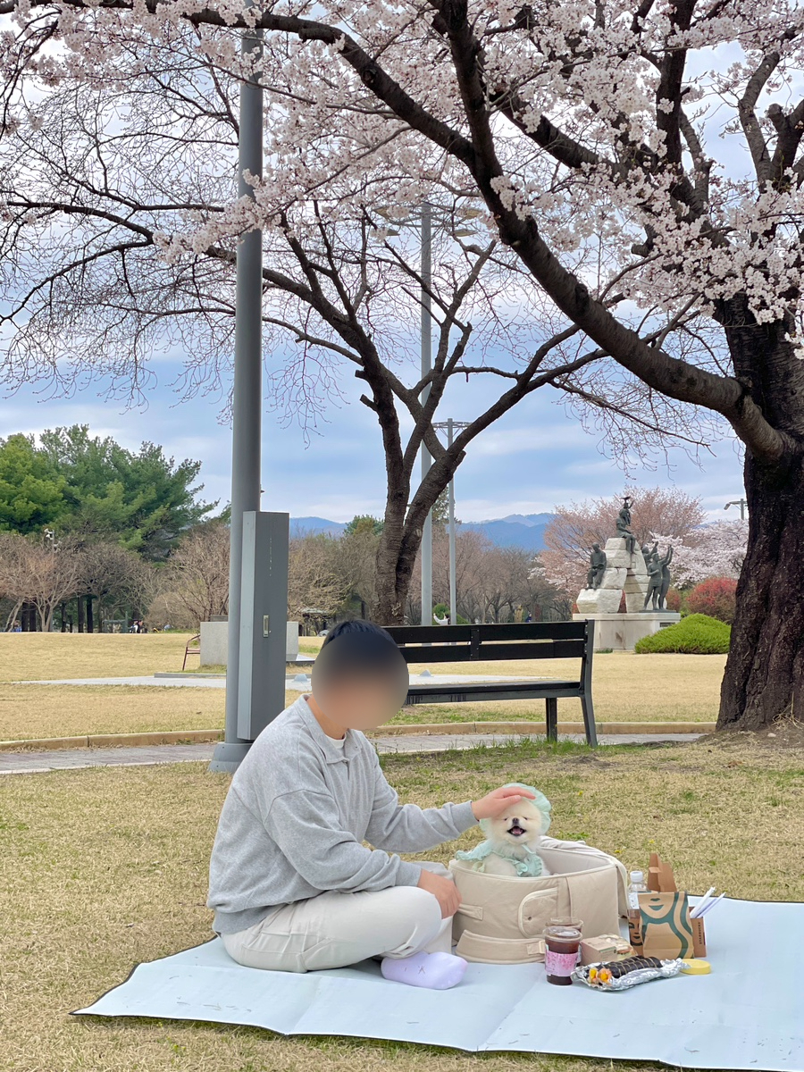 공지천 조각공원