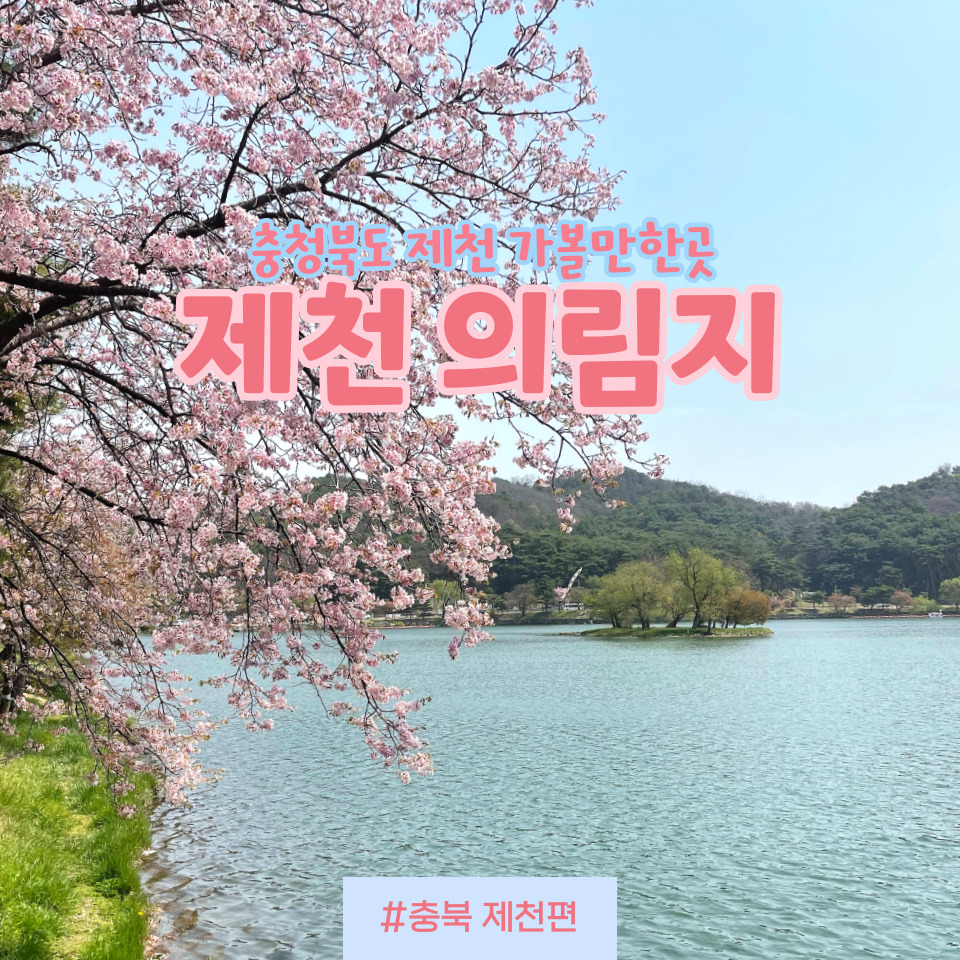 장소 이미지