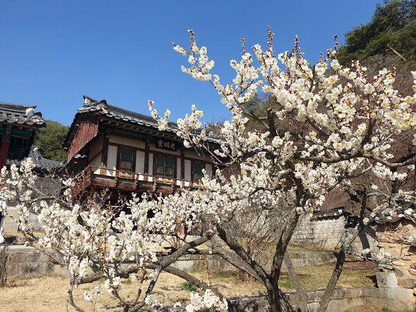 안동 도산서원