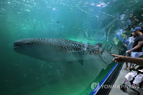 아쿠아플라넷제주
