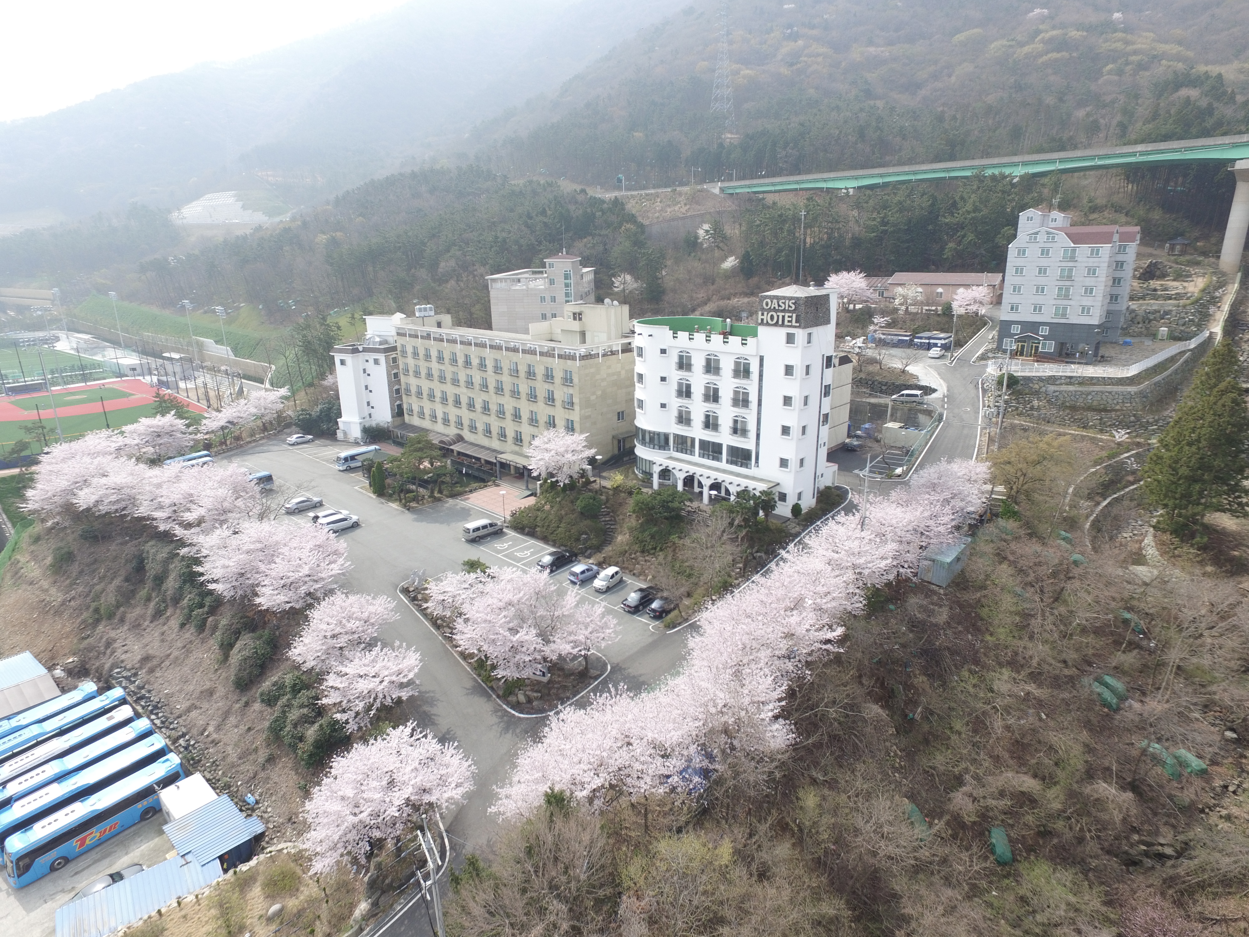거제 오아시스 호텔 (OASIS Hotel)