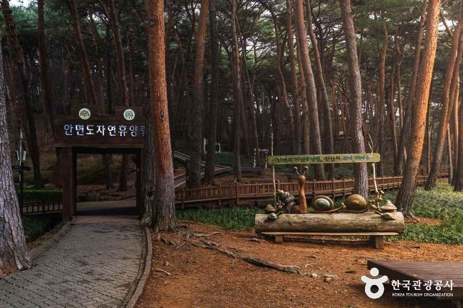 갤러리 사진 1