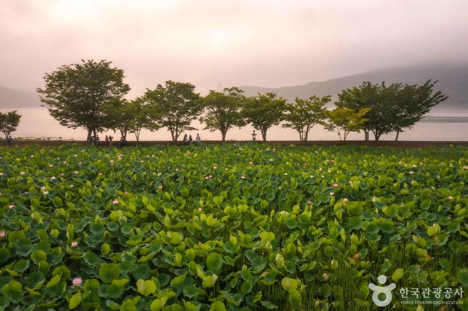 서브 사진