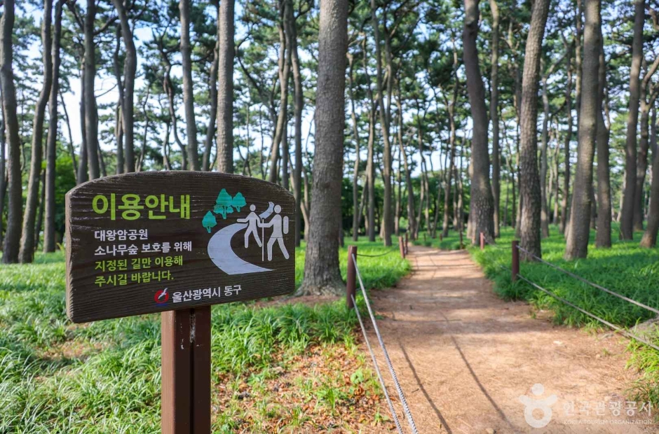 대왕암