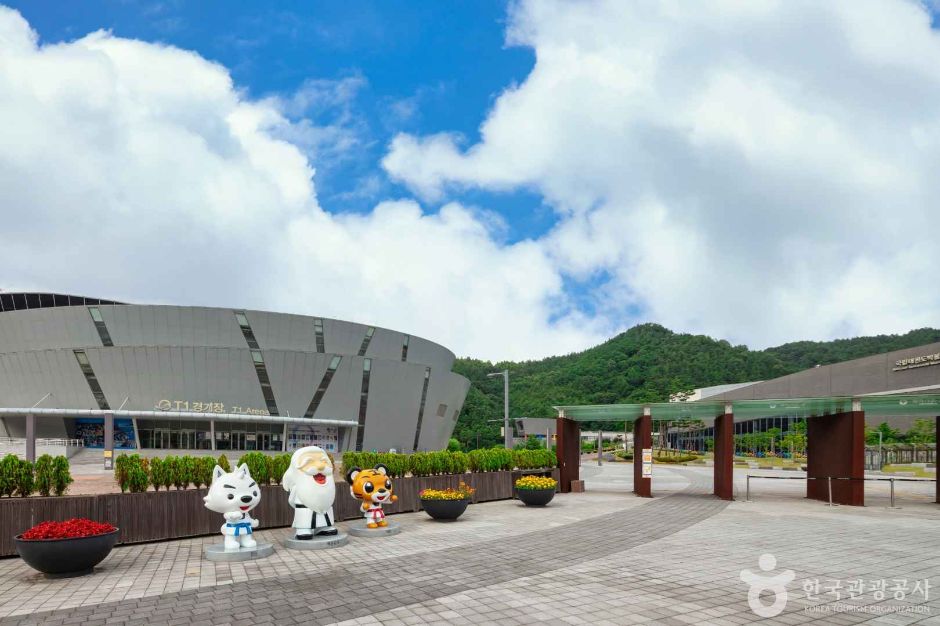 대표 이미지