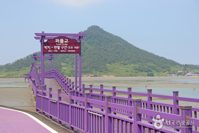 썸네일 1