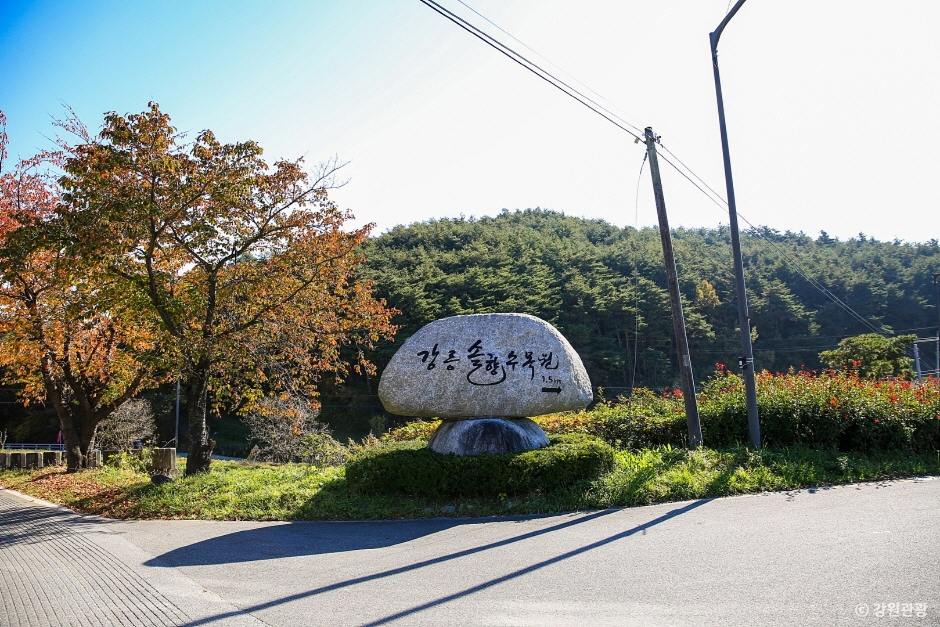 장소 이미지