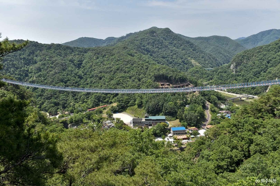 갤러리 사진 48