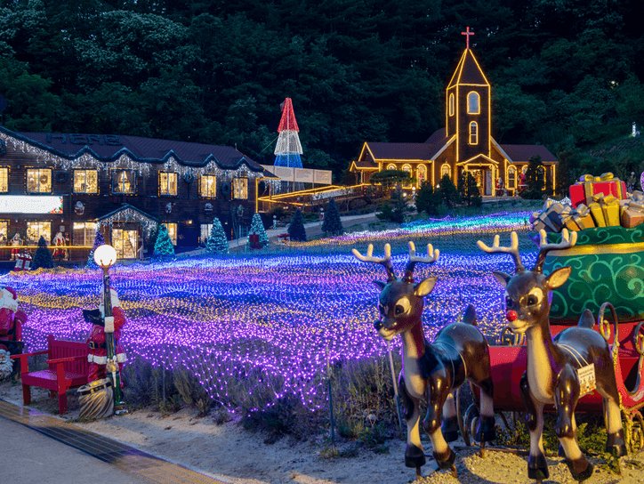 [오후 출발] 반짝반짝✨ 포천 허브아일랜드 야경+Y자출렁다리