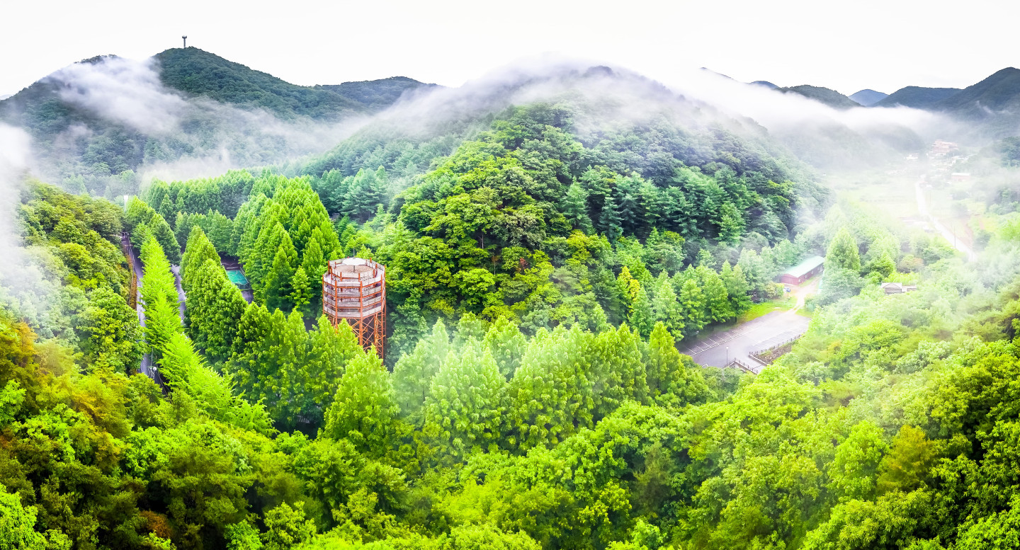 장태산 & 청남대 (모노레일) 당일여행 (노쇼핑 · 노옵션 · 노팁)