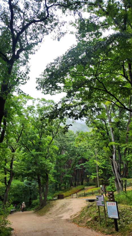 갤러리 사진 5