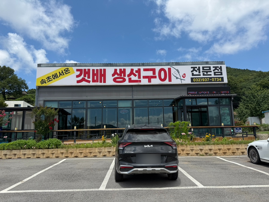 갤러리 사진 11