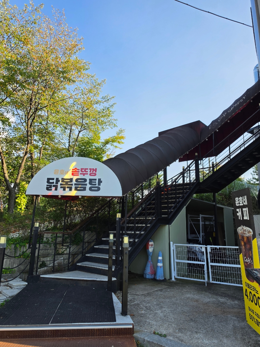 갤러리 사진 8