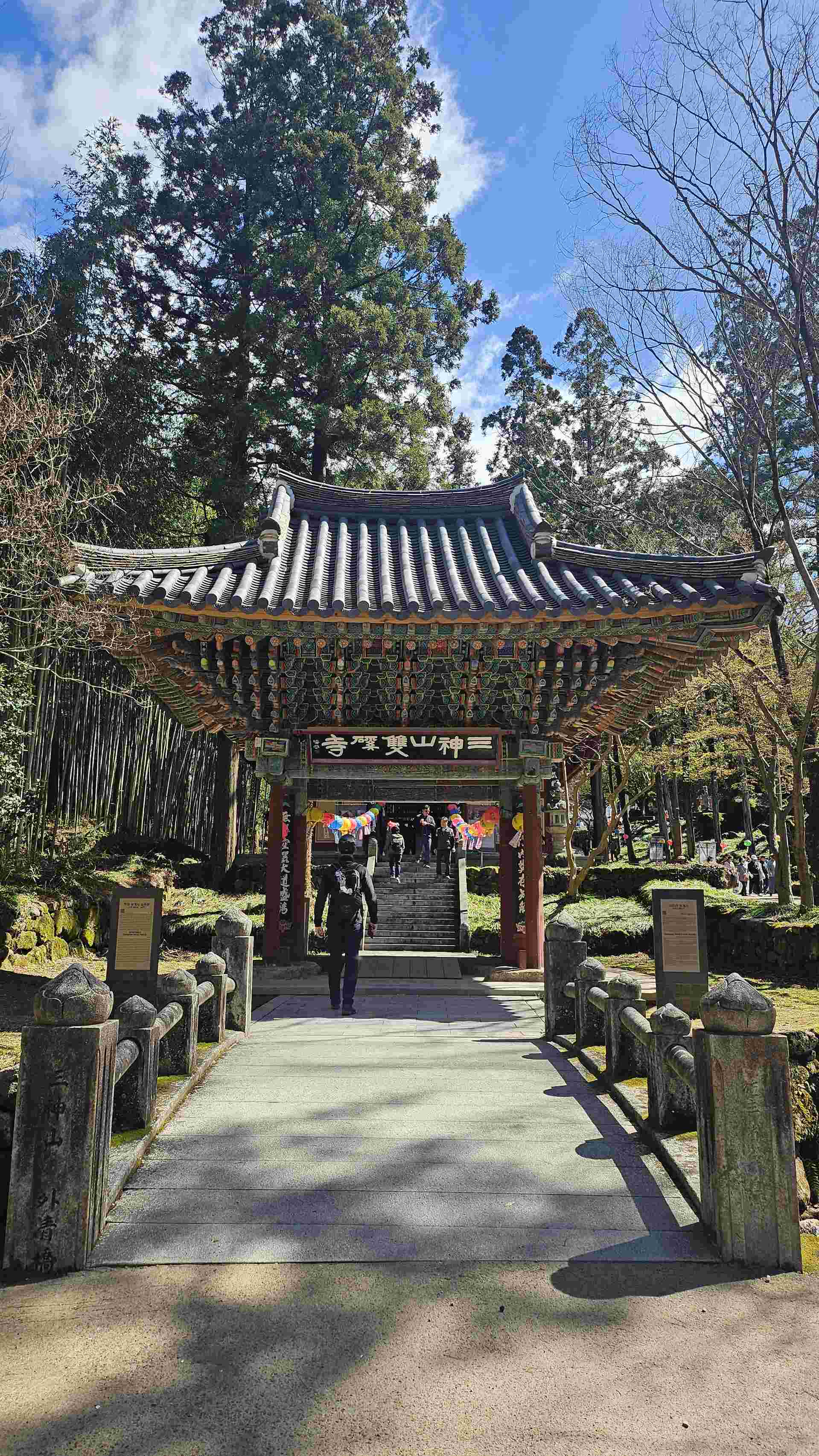 하동 십리벚꽃길