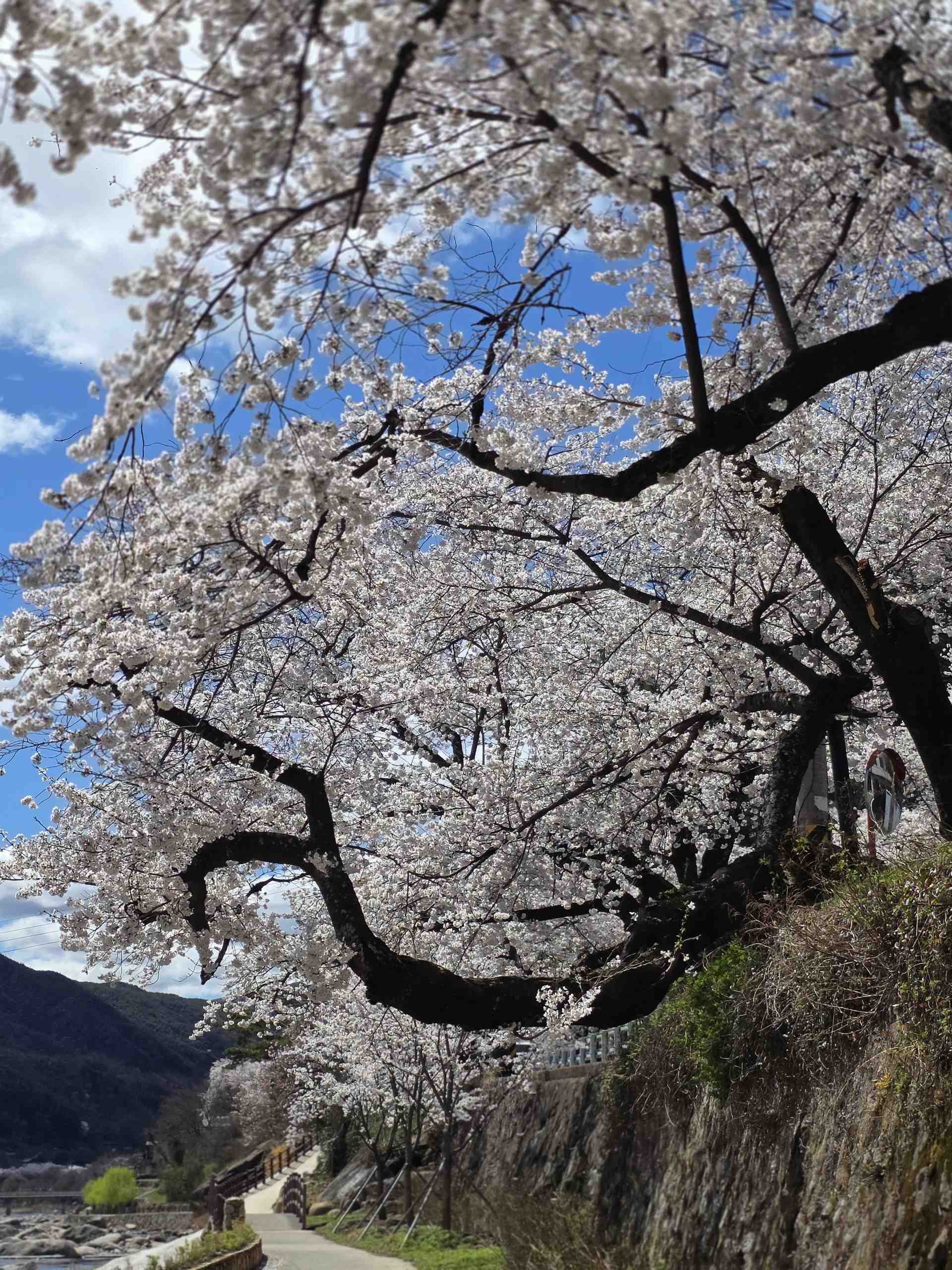 26년도 최고여행