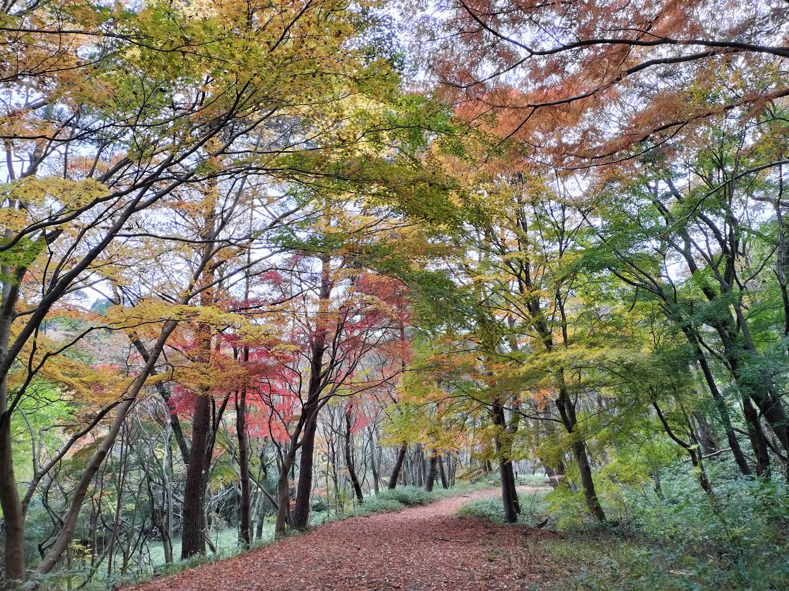 갤러리 사진 50