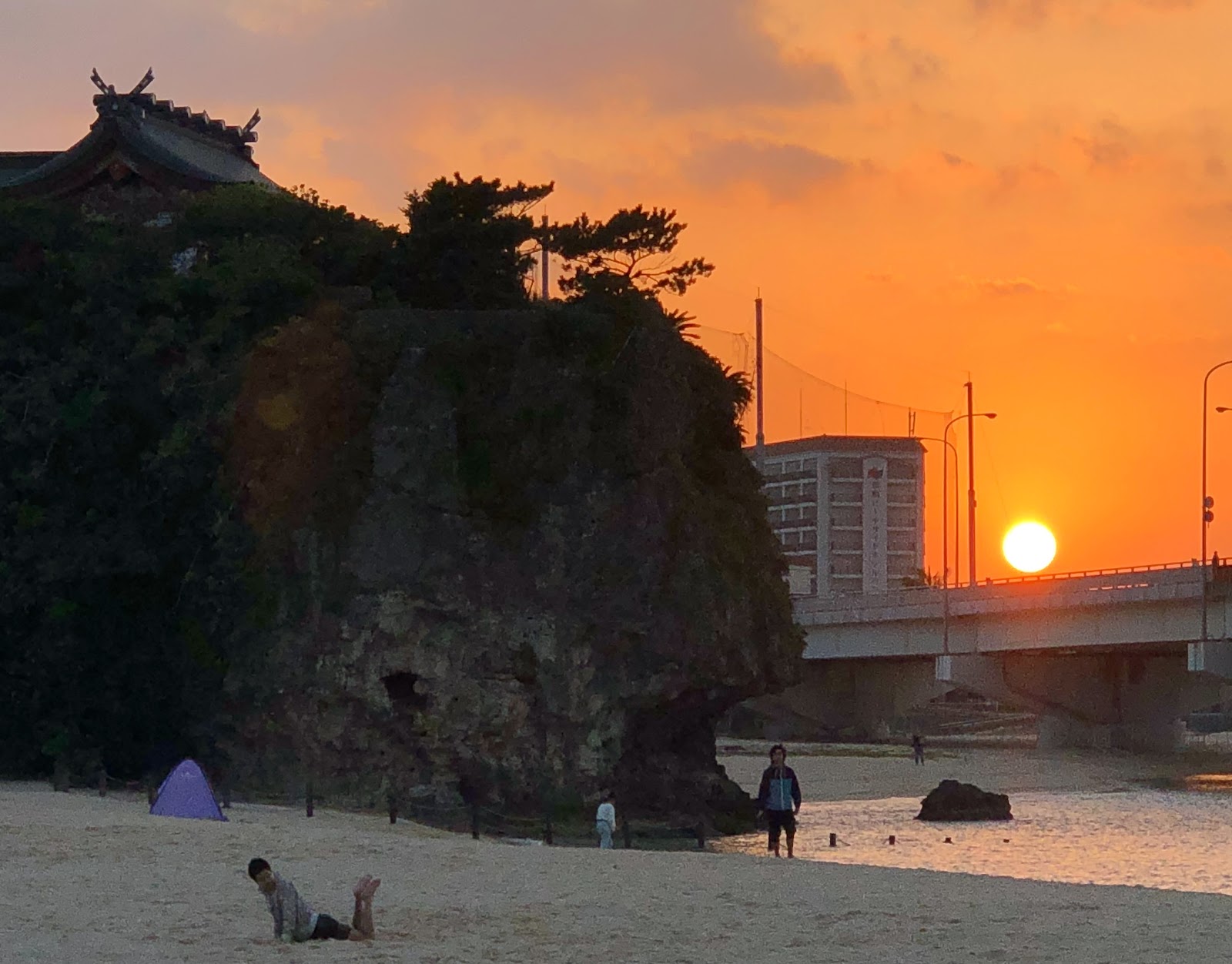 갤러리 사진 40