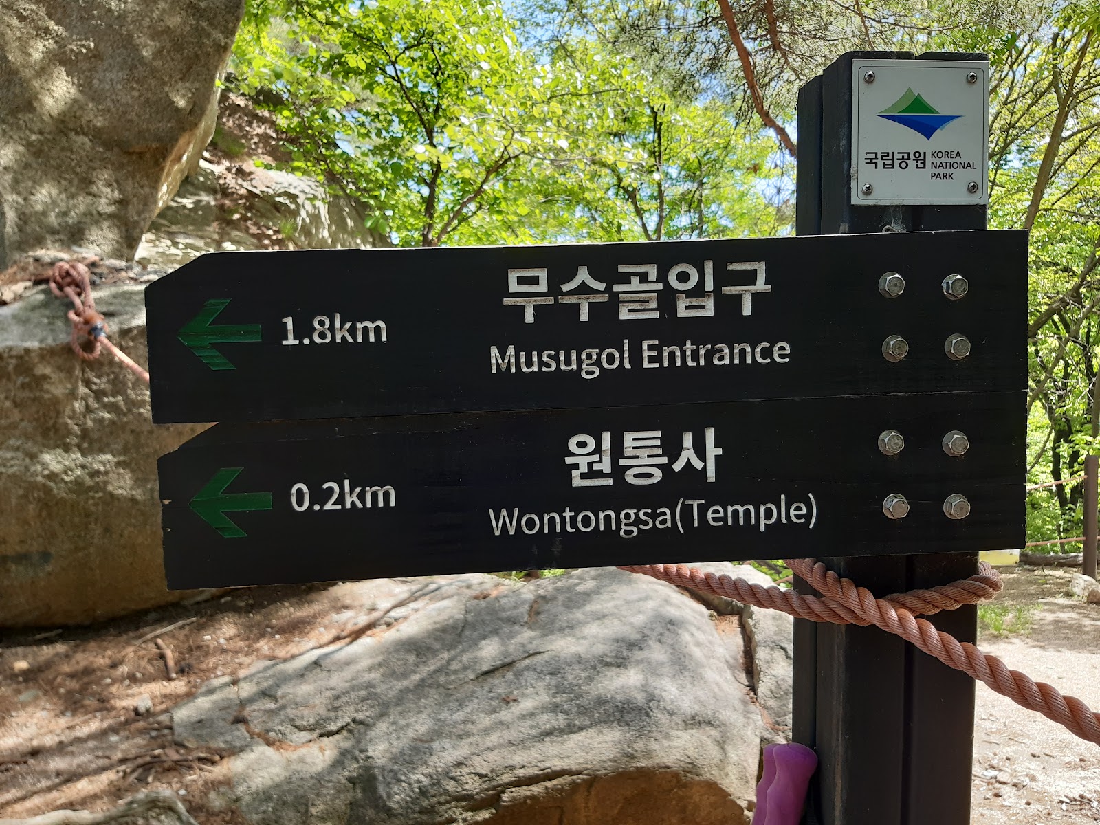 갤러리 사진 47