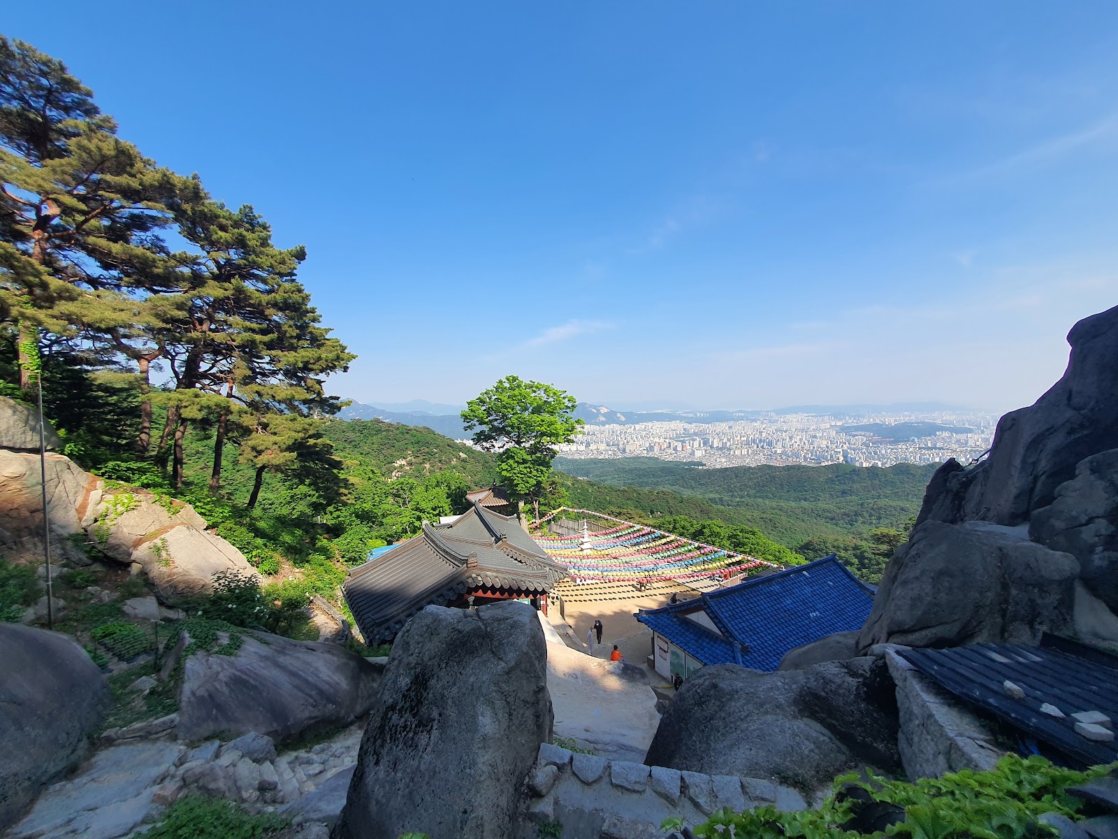 갤러리 사진 48