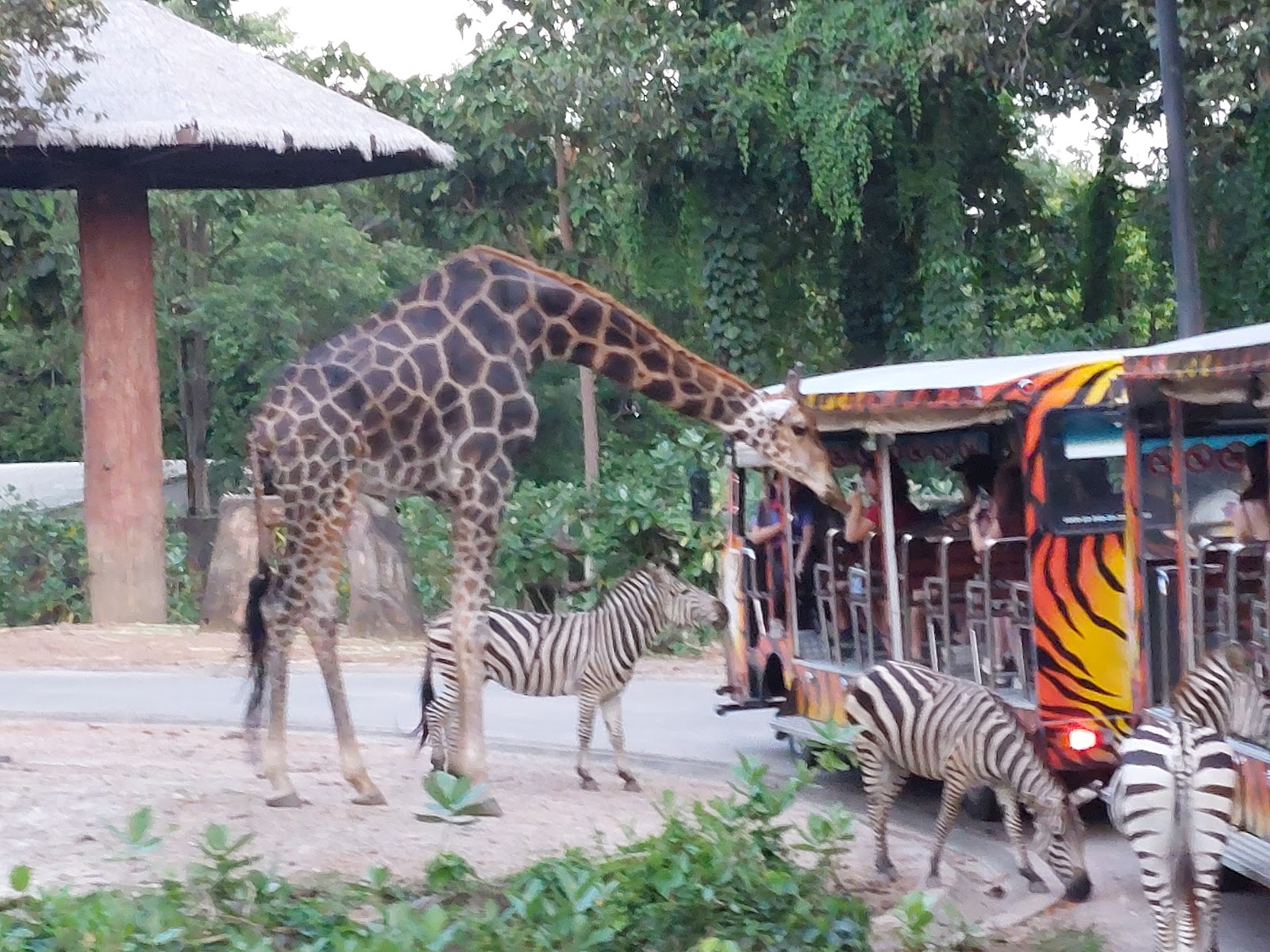 파리 루브르박물관