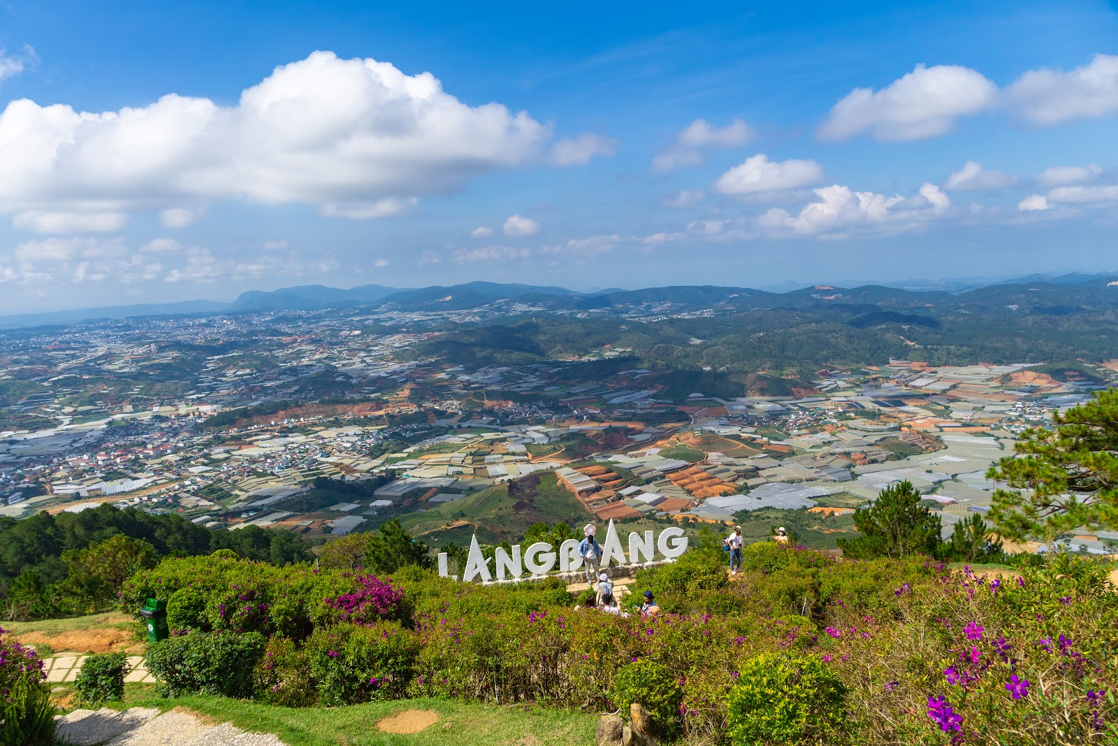 갤러리 사진 31