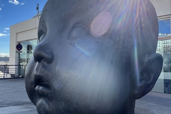갤러리 사진 191