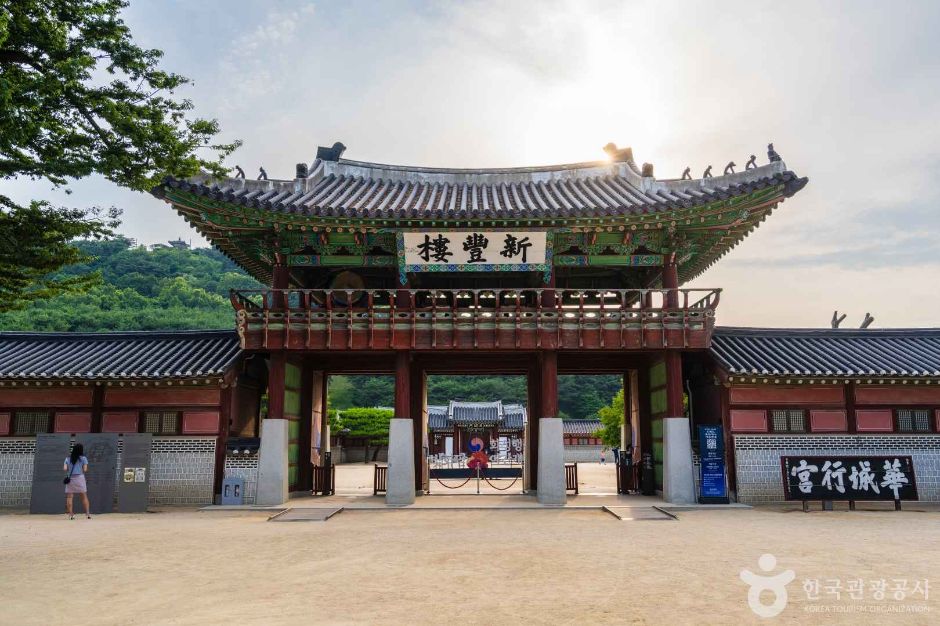 갤러리 사진 1