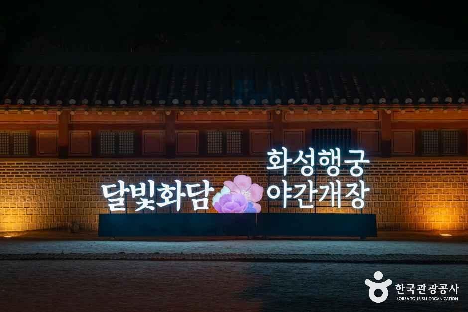 갤러리 사진 7