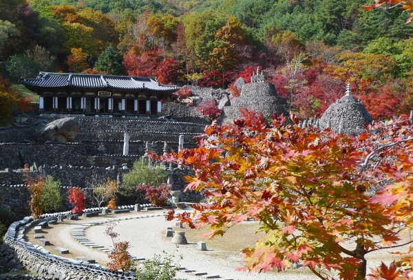 삼성궁(가을)