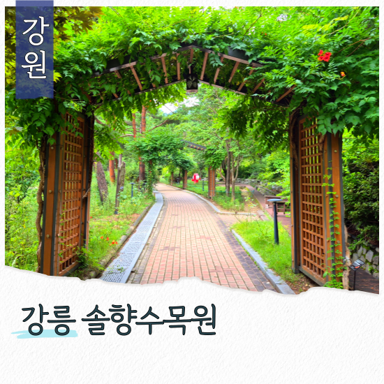 장소 이미지