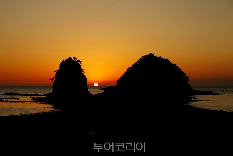 갤러리 사진 9