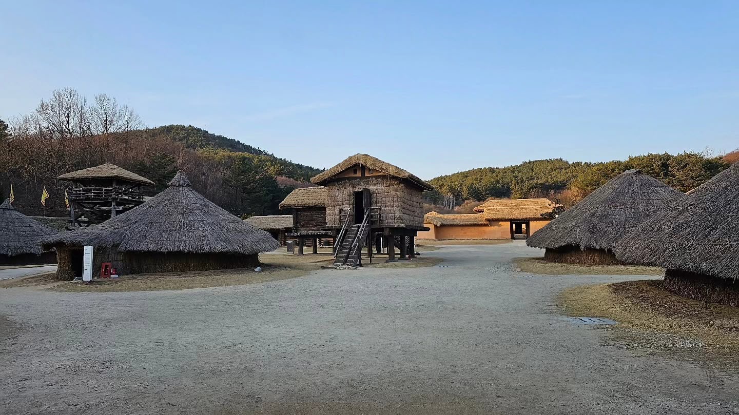 갤러리 사진 5